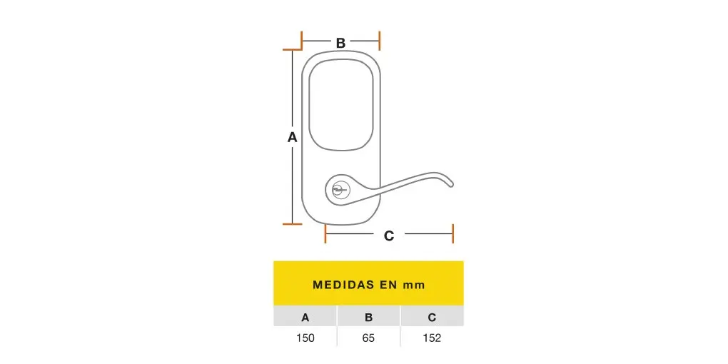 medidas.webp